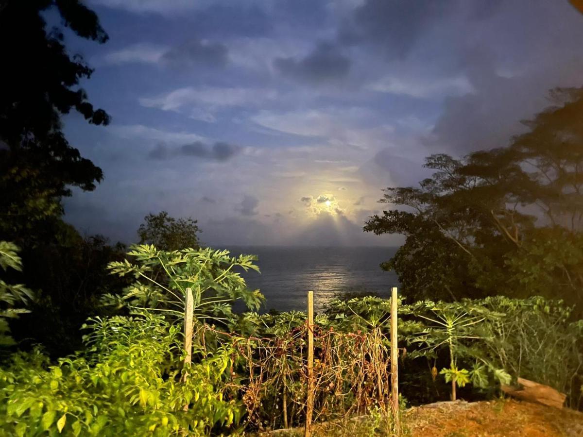 Capurganá Hostal Doble Vista מראה חיצוני תמונה
