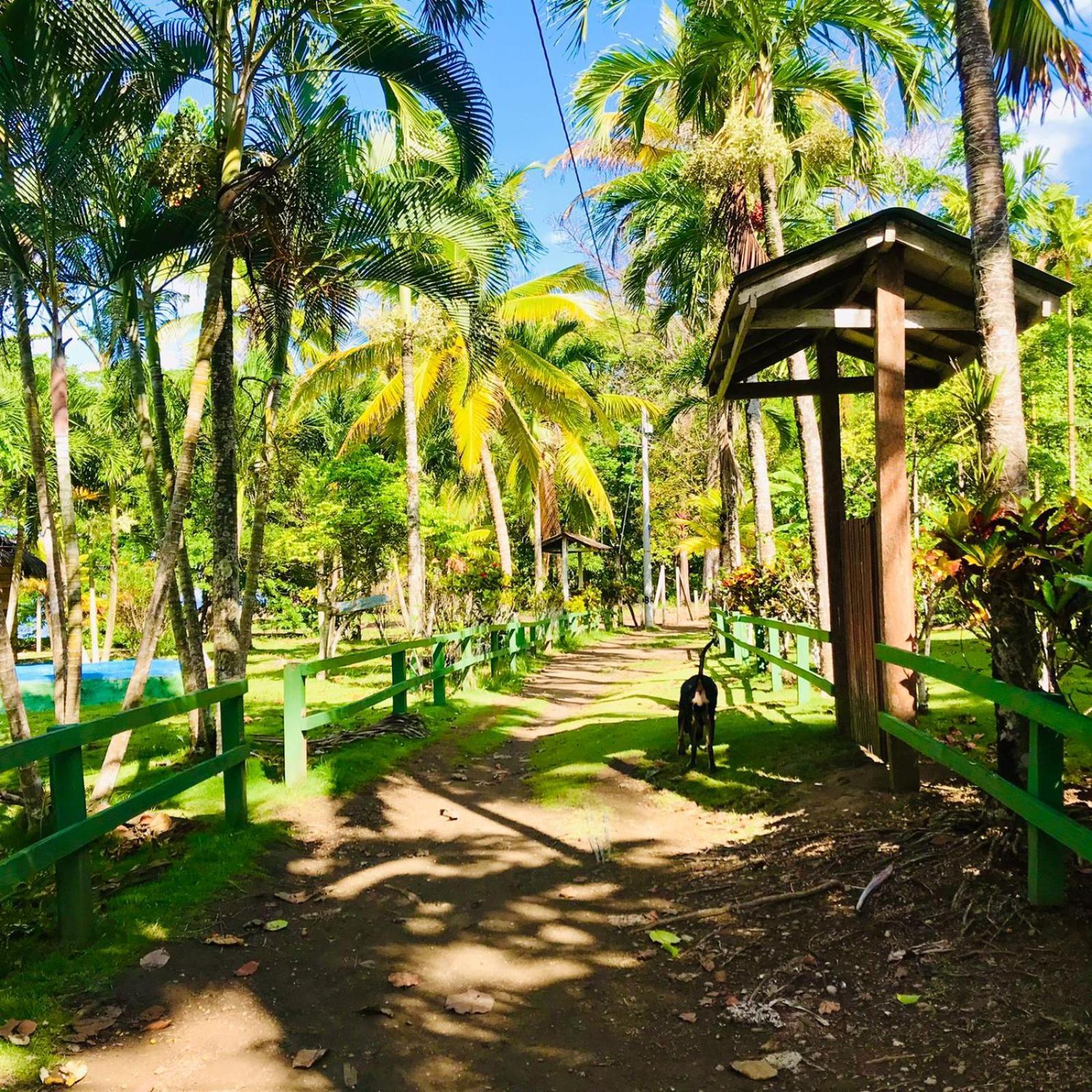 Capurganá Hostal Doble Vista מראה חיצוני תמונה