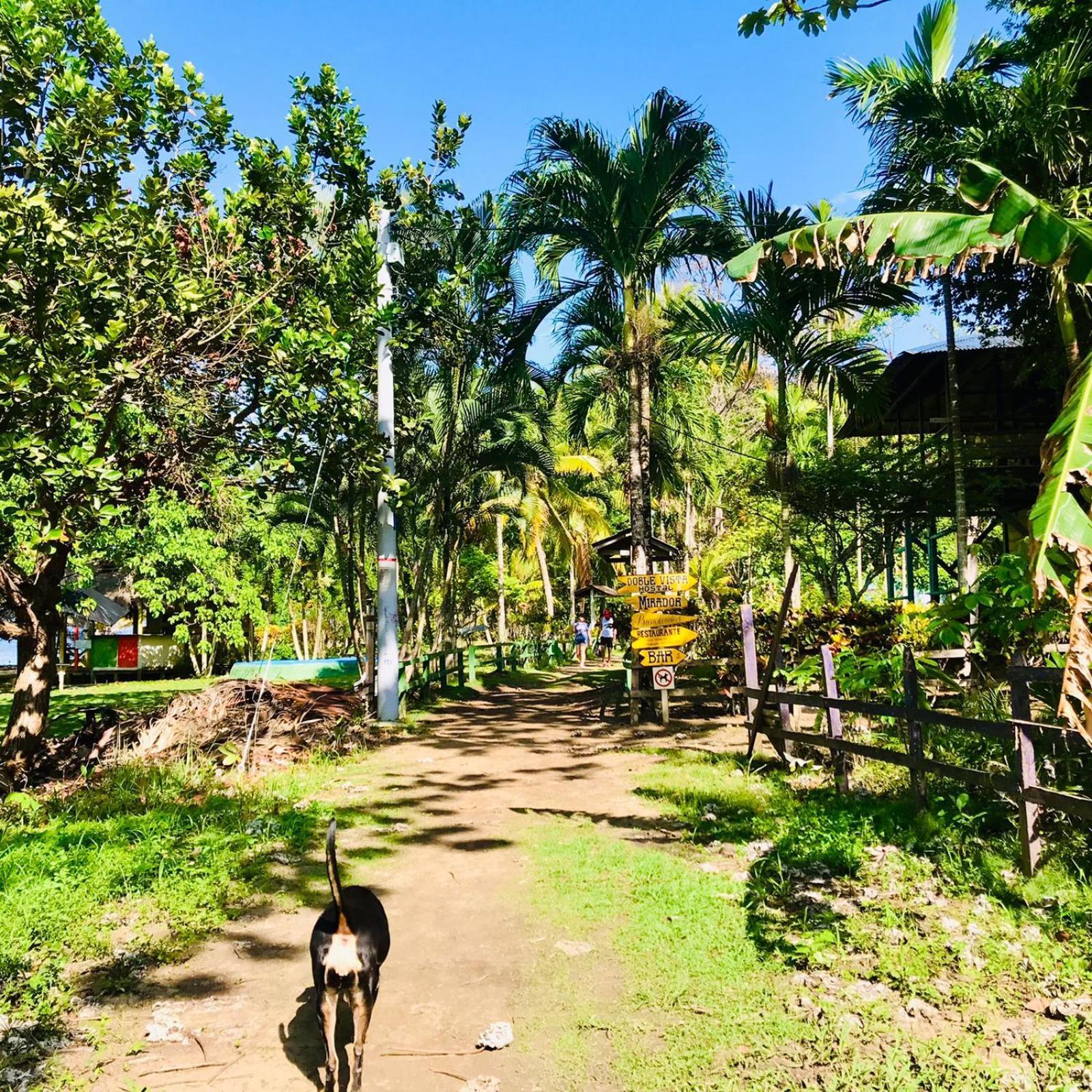Capurganá Hostal Doble Vista מראה חיצוני תמונה